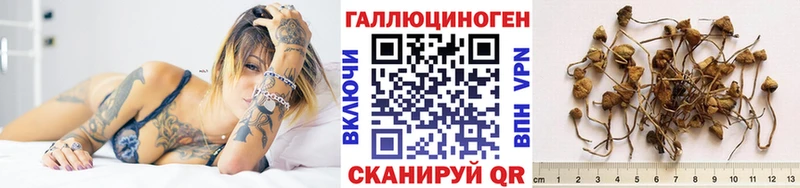 купить наркотики сайты Гусиноозёрск Галлюциногенные грибы мухоморы